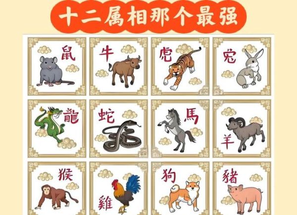 什么属相很凶猛啊生肖（12生肖谁最凶猛？新手3分钟看懂）