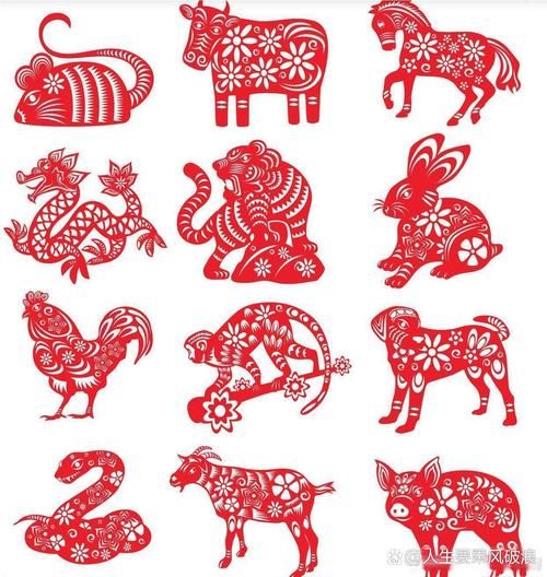 所有奇葩生肖属相图片（奇葩生肖图片都有哪些？一看就懂）