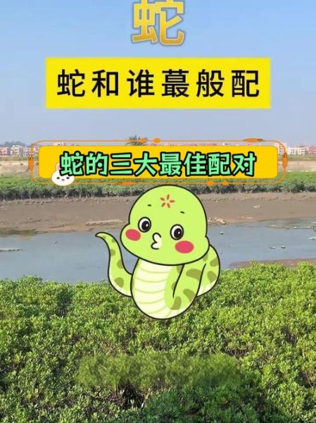 生肖蛇女配对属相（生肖蛇女配什么生肖最好）
