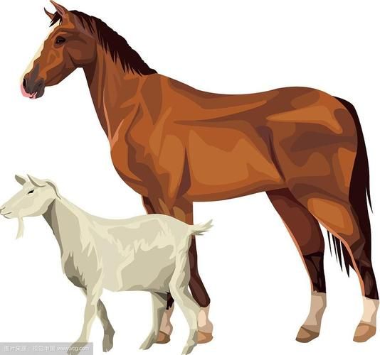 生肖马合作属相（生肖马和羊合作最旺财吗？）