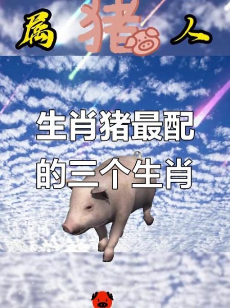 生肖猪属相匹配（生肖猪和什么属相最配对新手速查）