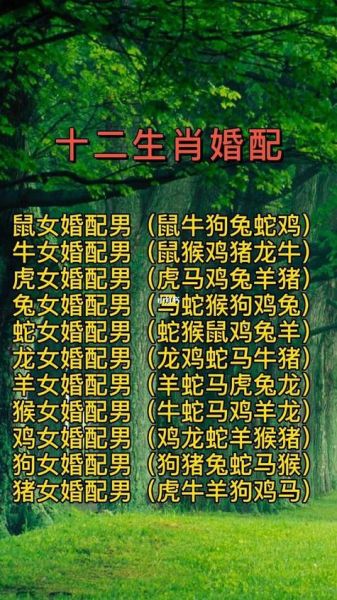 生肖猴宜配的属相（生肖猴宜配的属相是谁？）