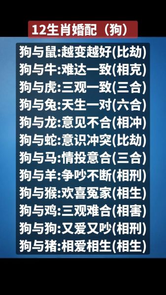 属狗属相配什么生肖（属狗最佳婚配生肖是哪些）