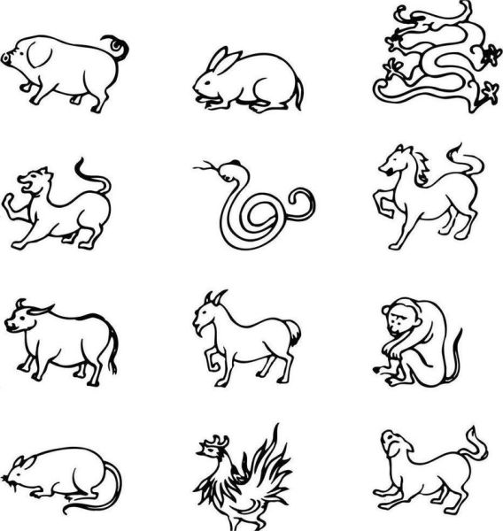 生肖属相图片简笔画（十二生肖简笔画步骤教程）