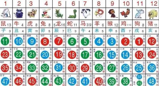 生肖属相排期表（2025生肖属相对照表速查版）