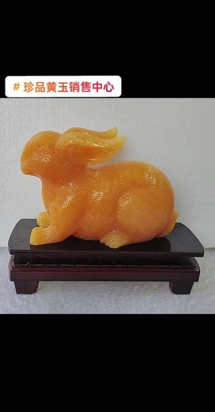 黄蓉属相是什么生肖动物（黄蓉属什么生肖动物）