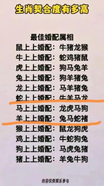 生肖狗和马子女属相（生肖狗和马相冲吗？婚配禁忌与化解）