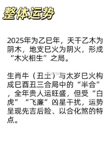 董平属相什么生肖（董平生肖属相是牛吗？新手必看🐮）
