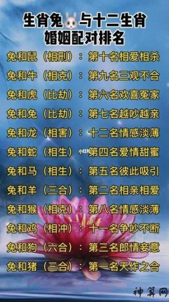 十二生肖属相婚姻最佳属相配对（生肖兔和生肖狗的婚配真的超合吗？）