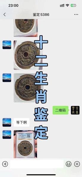 看开元通宝生肖属相（开元通宝怎么看生肖属相？）