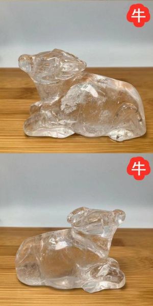 白晶晶属什么生肖属相