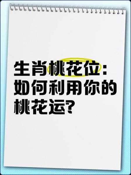生肖桃花属相位置图（2024生肖桃花位怎么看懂？一张图秒懂！）