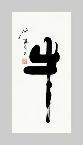 杨凡代表什么生肖属相（杨凡代表什么生肖属相？）