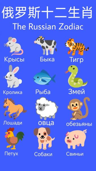 老外改生肖属相（老外改生肖属相是真的吗）