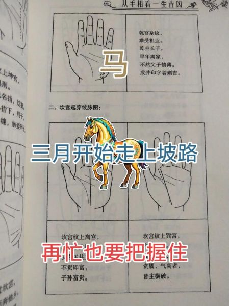 马年怎么判断生肖属相(马年属相怎么算?新手一秒看懂)