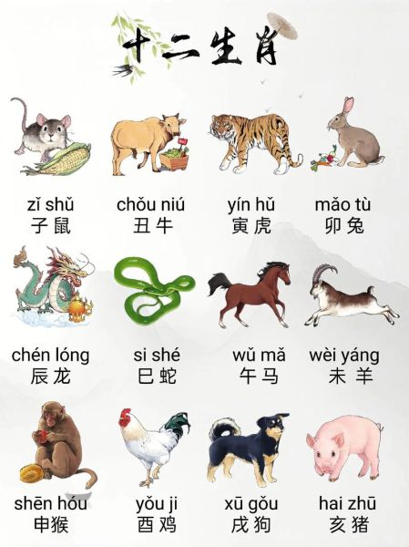 十二生肖属相教程（十二生肖属相快速对照表教程）