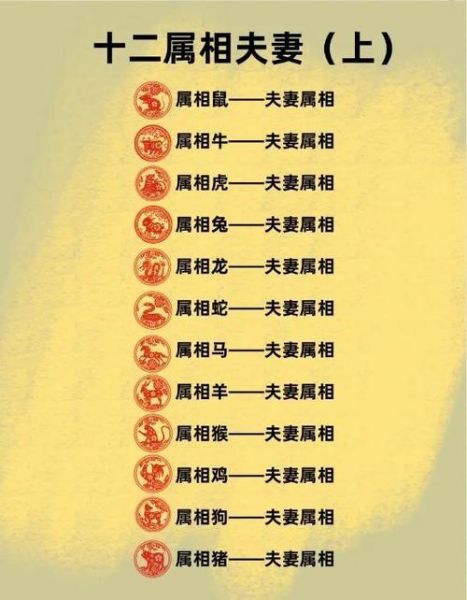 龙生肖属相配对（龙和哪些生肖最配婚姻最稳）