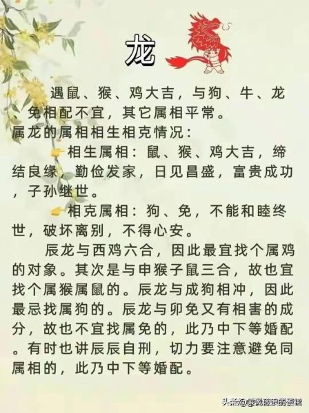 生肖龙和哪些属相相生(生肖龙最配哪几个属相)