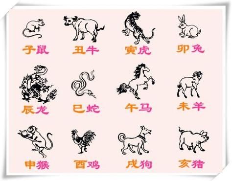 申生肖属相（申对应的生肖是什么？）