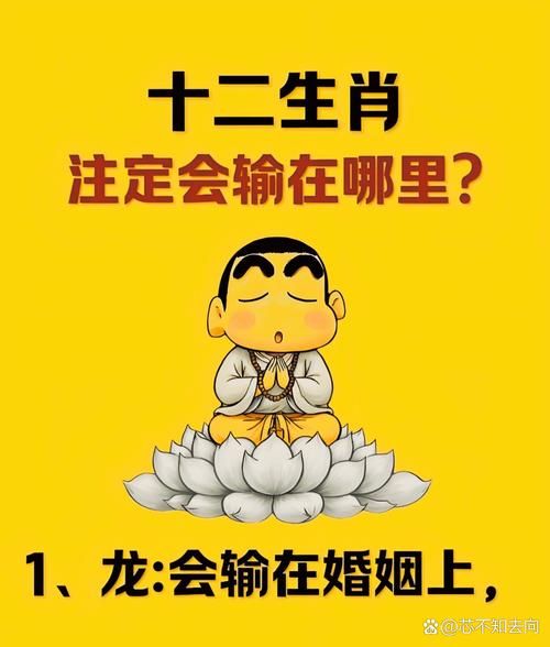 结婚要不要考虑生肖属相(结婚生肖属相要不要看🐭🐲)