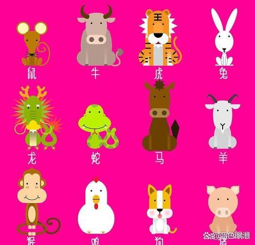 闺秀属相是什么生肖