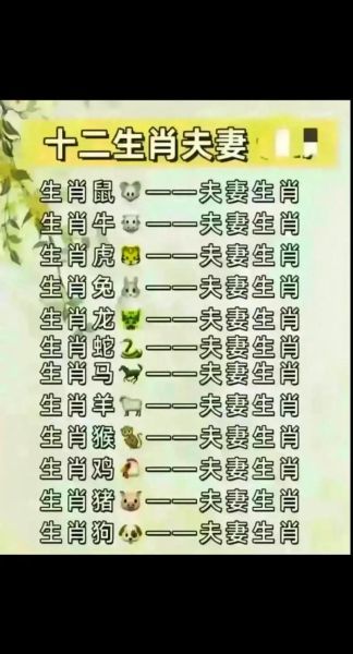 夫妻的生肖属相相配吗