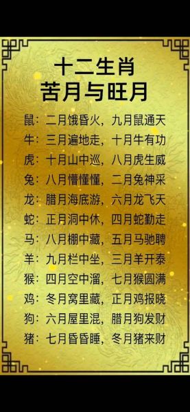 月是什么生肖属相（月对应的生肖是什么）