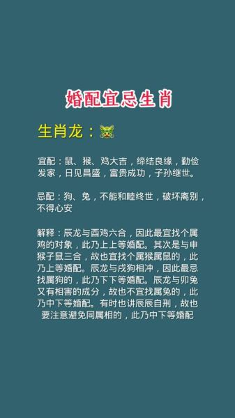 生肖婚配属相谚语（鼠马相冲能结婚吗？真实相处看这三点）