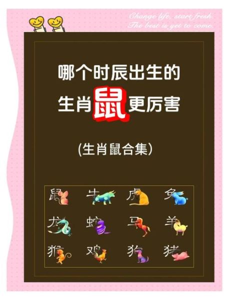 貂鼠是什么生肖属相的（貂鼠属什么生肖？答案来了）