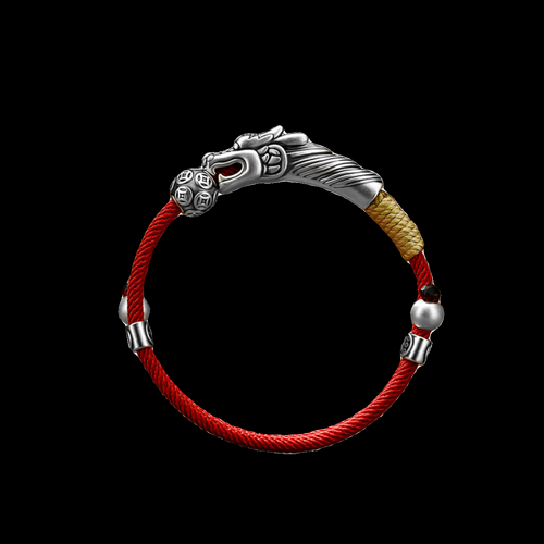 银生肖属相手绳男生（银生肖属相手绳男生戴哪只手）