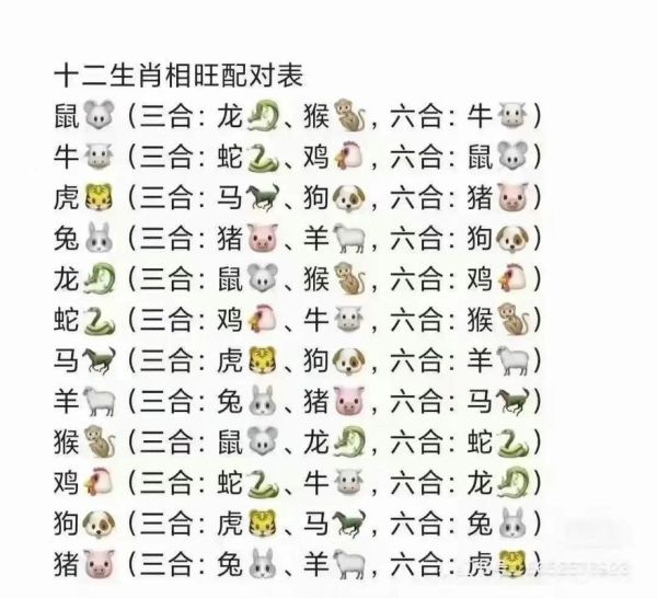 生肖鼠配对属相龙（生肖鼠和龙能在一起吗）