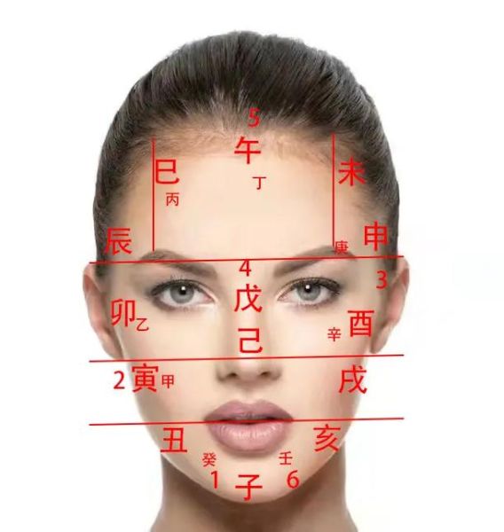 面相 生肖属相知人生（生肖属相对人生命运的影响真的吗）