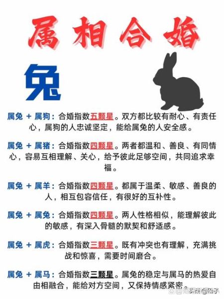 属相兔最好是什么生肖（属兔最好的生肖配对有哪些？）