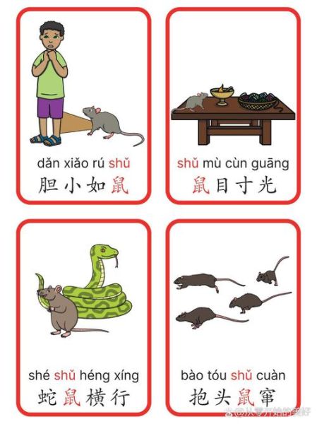 生肖属相组成成语（如何用生肖属相组成成语 新手速看）