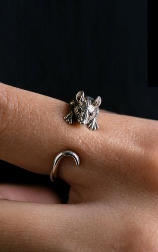 生肖属性戒指有哪些属相(生肖戒指对应哪些属相 🐭🐮🐯)