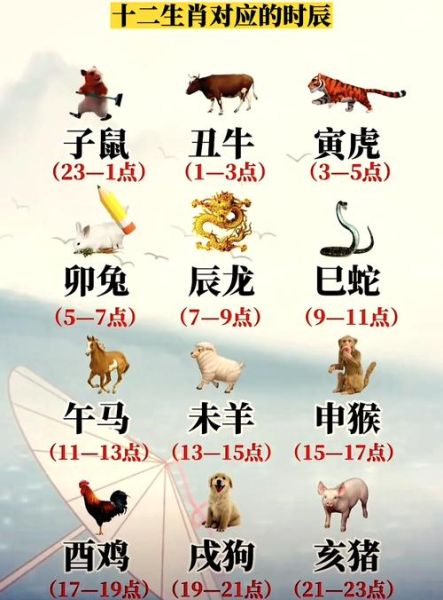 二三年属相是什么生肖（2023年属蛇还是属兔？🐰生肖划分规则一看就懂）