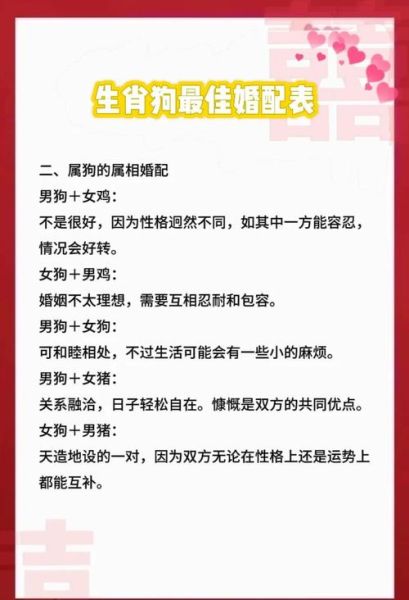 狗的生肖属相相配（属狗的和什么属相最配婚姻最好）