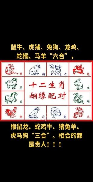 老子什么生肖属相最好呢（老子属什么生肖最好）