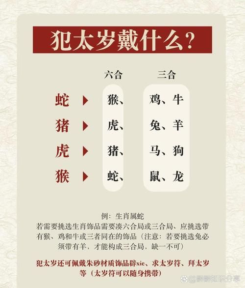 孔子属相是什么生肖（孔子属什么生肖新手一看就懂）