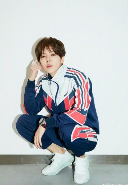 鹿晗生肖属相（鹿晗属什么生肖？小白秒懂版！）