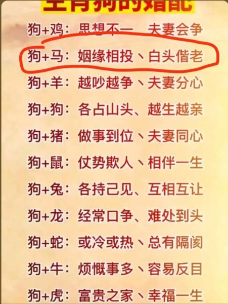 狗狗属相配什么生肖（狗狗最配属相是虎、兔、马吗？）