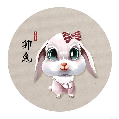 关悦属相是什么生肖