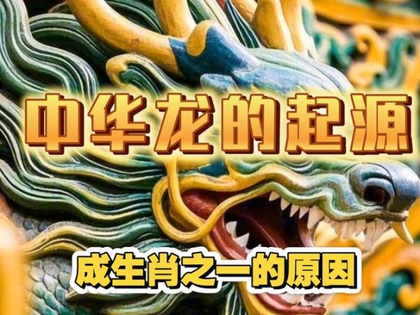 中国伟人的生肖属相（中国历史上属龙的伟人盘点🔥）