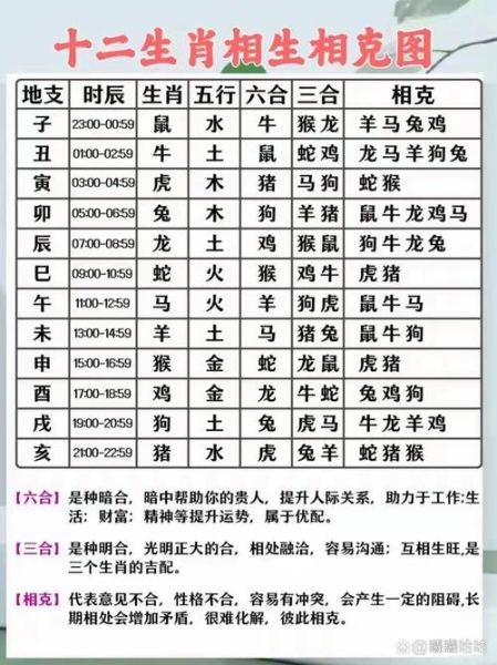 生肖兔相克属相（生肖兔与谁最相克？速查表）