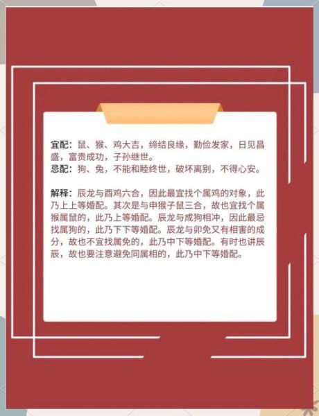 生肖龙对什么属相不合（生肖龙和什么生肖不合？新手避坑指南）