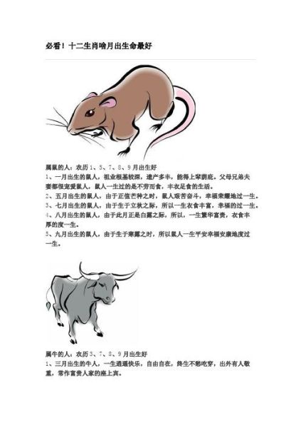 生肖属相老鼠的命运（属鼠的人一生命运如何）