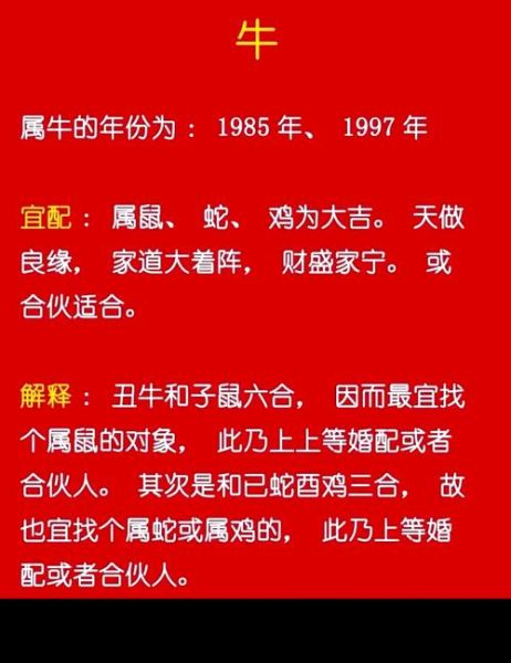 明年结婚生肖是什么属相（明年结婚生肖是什么？一篇看懂）