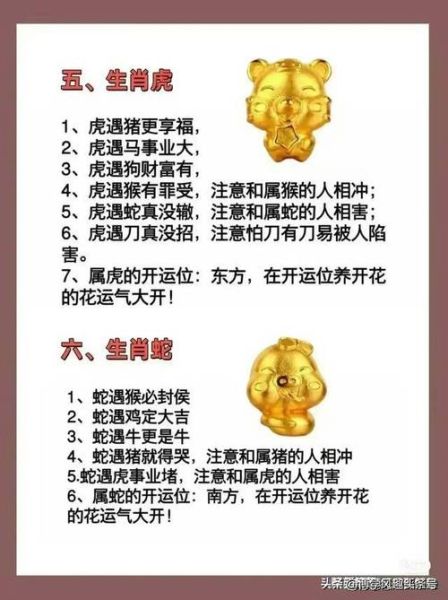 生肖蛇贵人属相（生肖蛇贵人属相是谁？龙、猴、牛👀）
