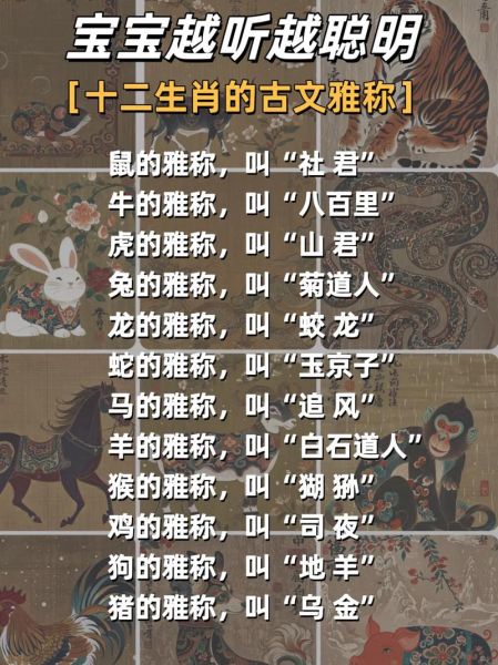 杜甫加加生肖属相（杜甫生肖是什么？新手必读版）