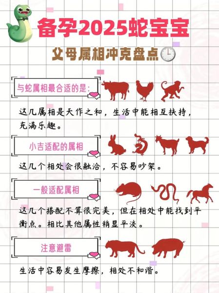日生肖冲父母属相（日生肖冲父母属相怎么办）